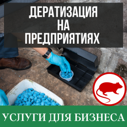 Дератизация на предприятиях